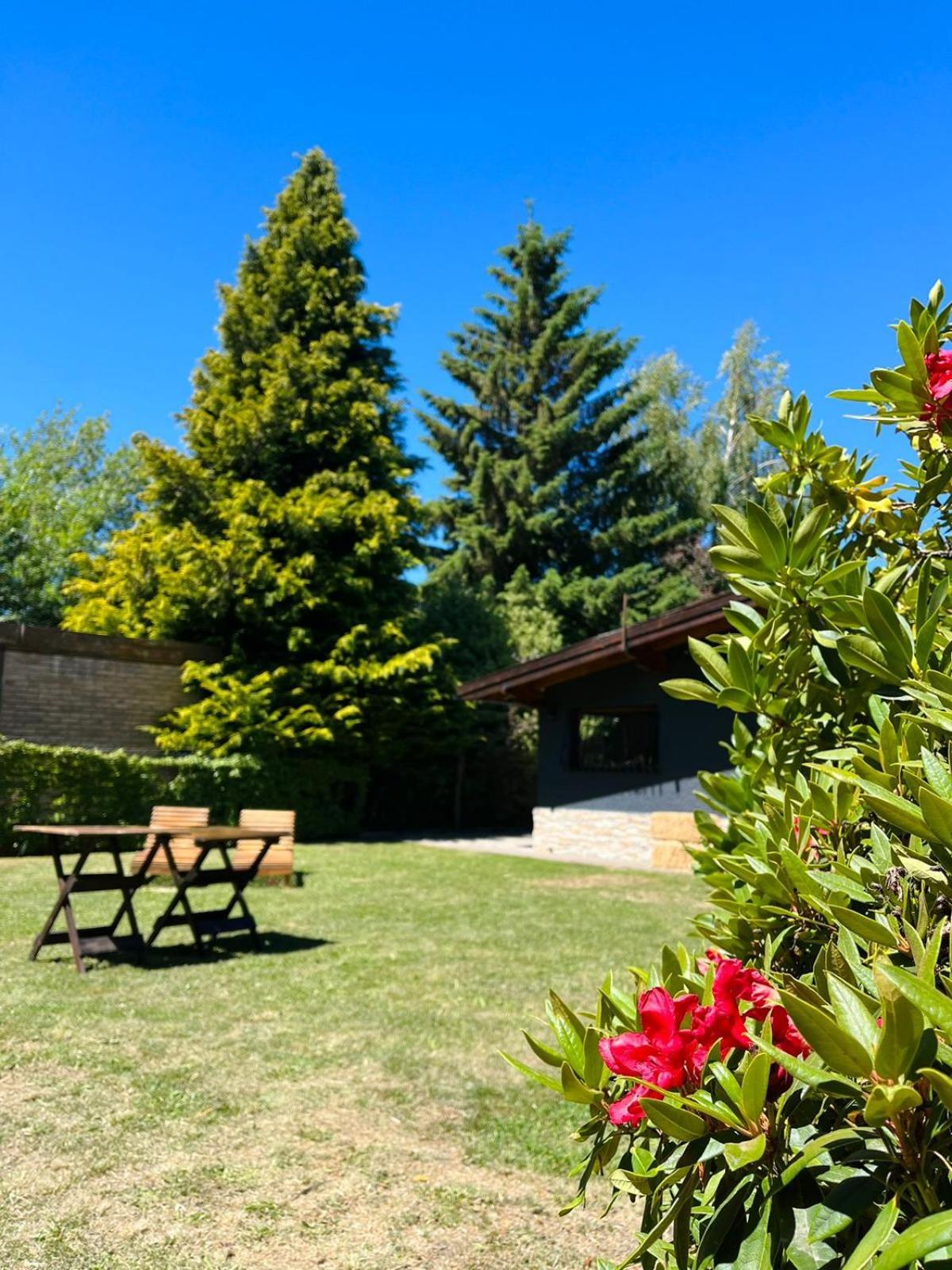 Las Vinas Hostel Boutique Сан-Карлос-де-Барилоче Экстерьер фото